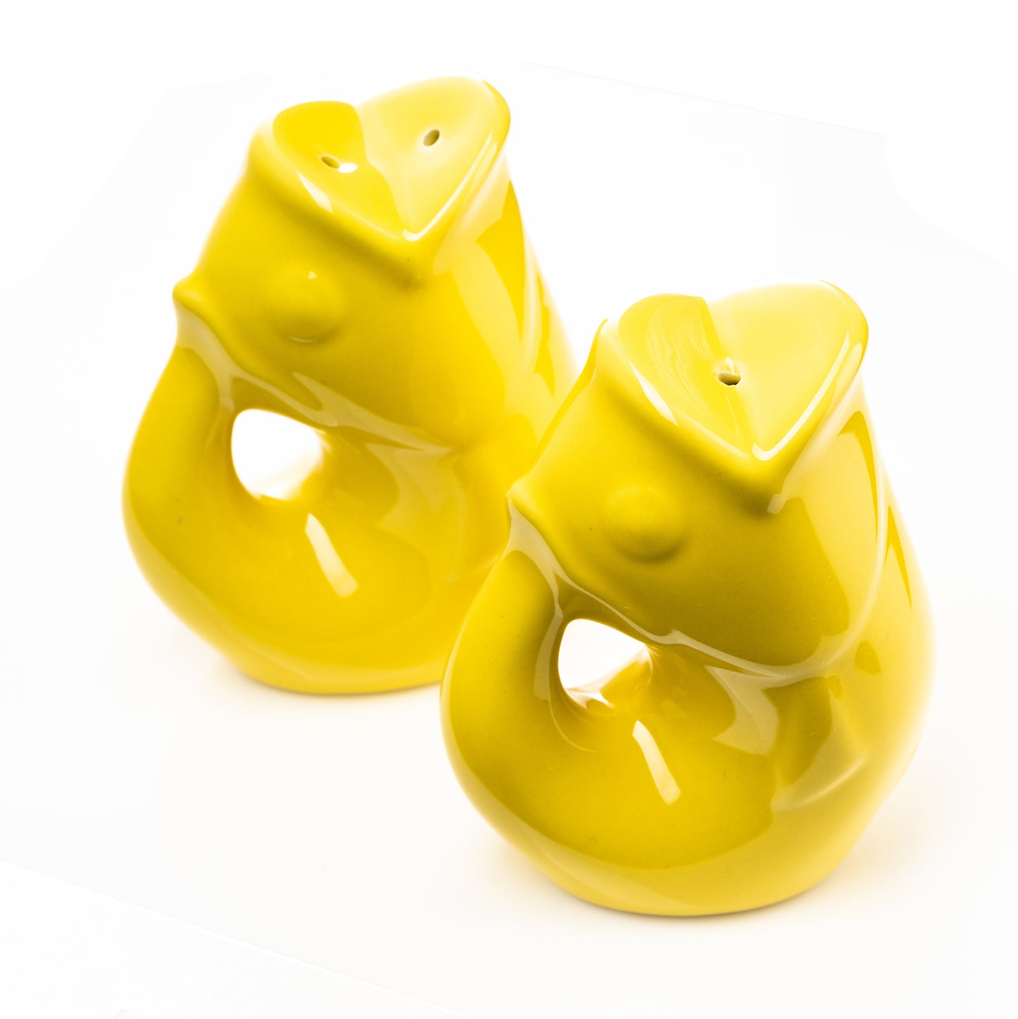 Salt & Pepper Sunflower GurglePot